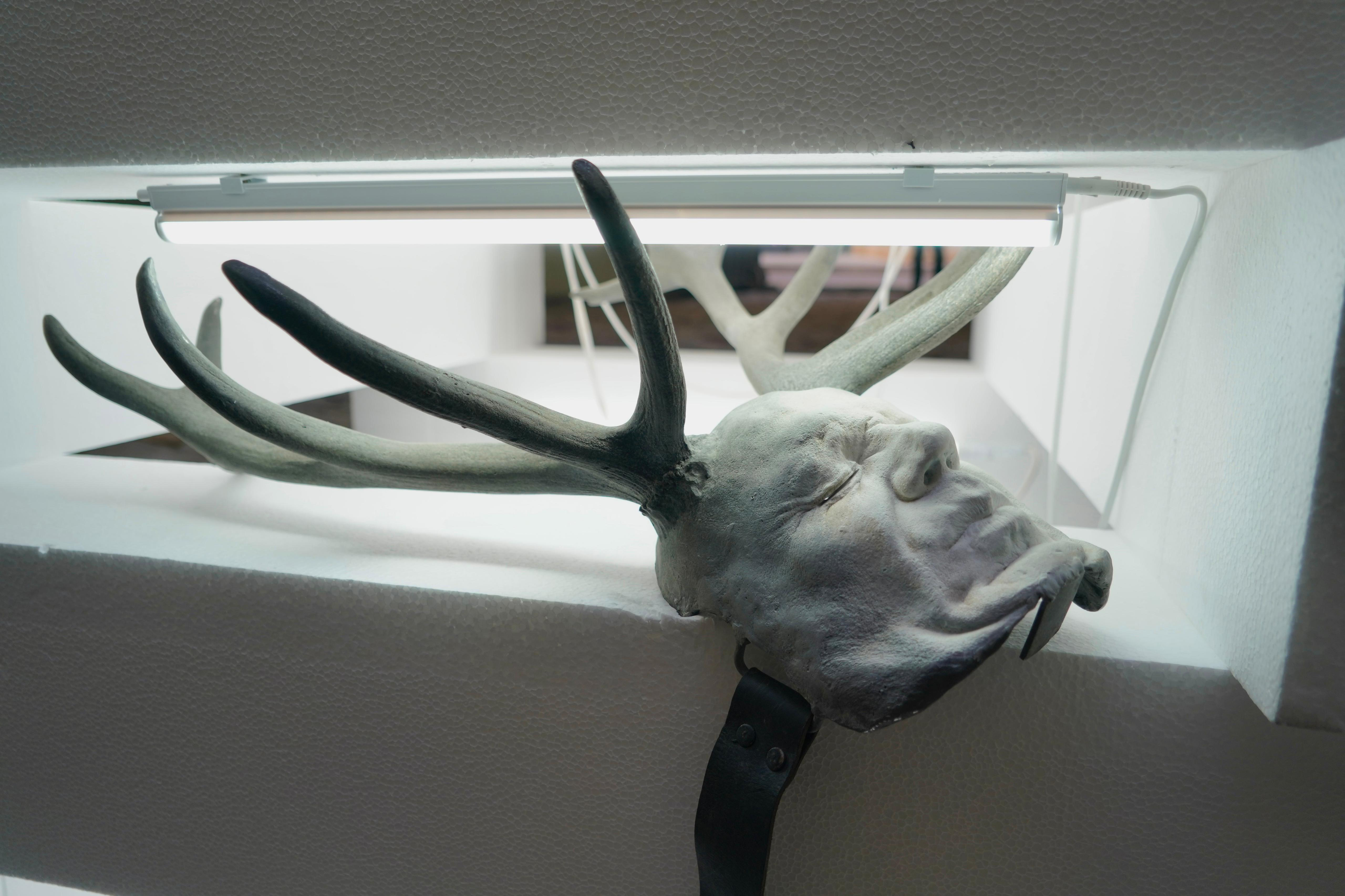 Bernardi Roig. The red room