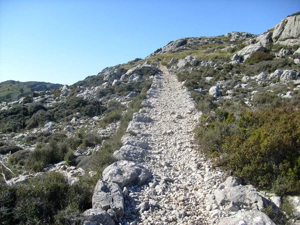 Camí de s'Arxiduc