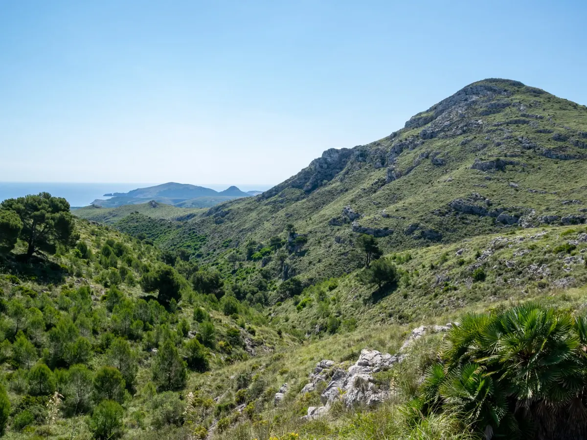 Camí des Presos