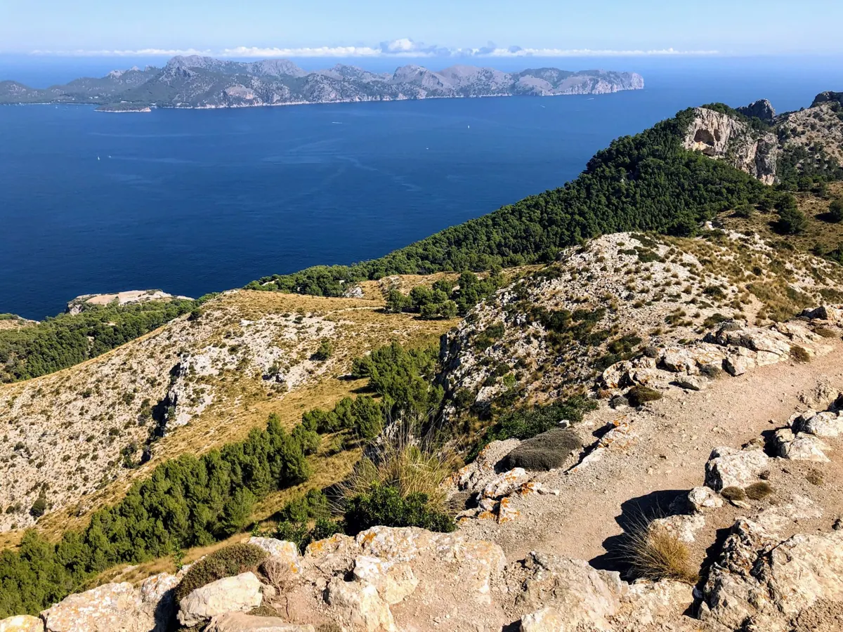 Talaia d'Alcúdia