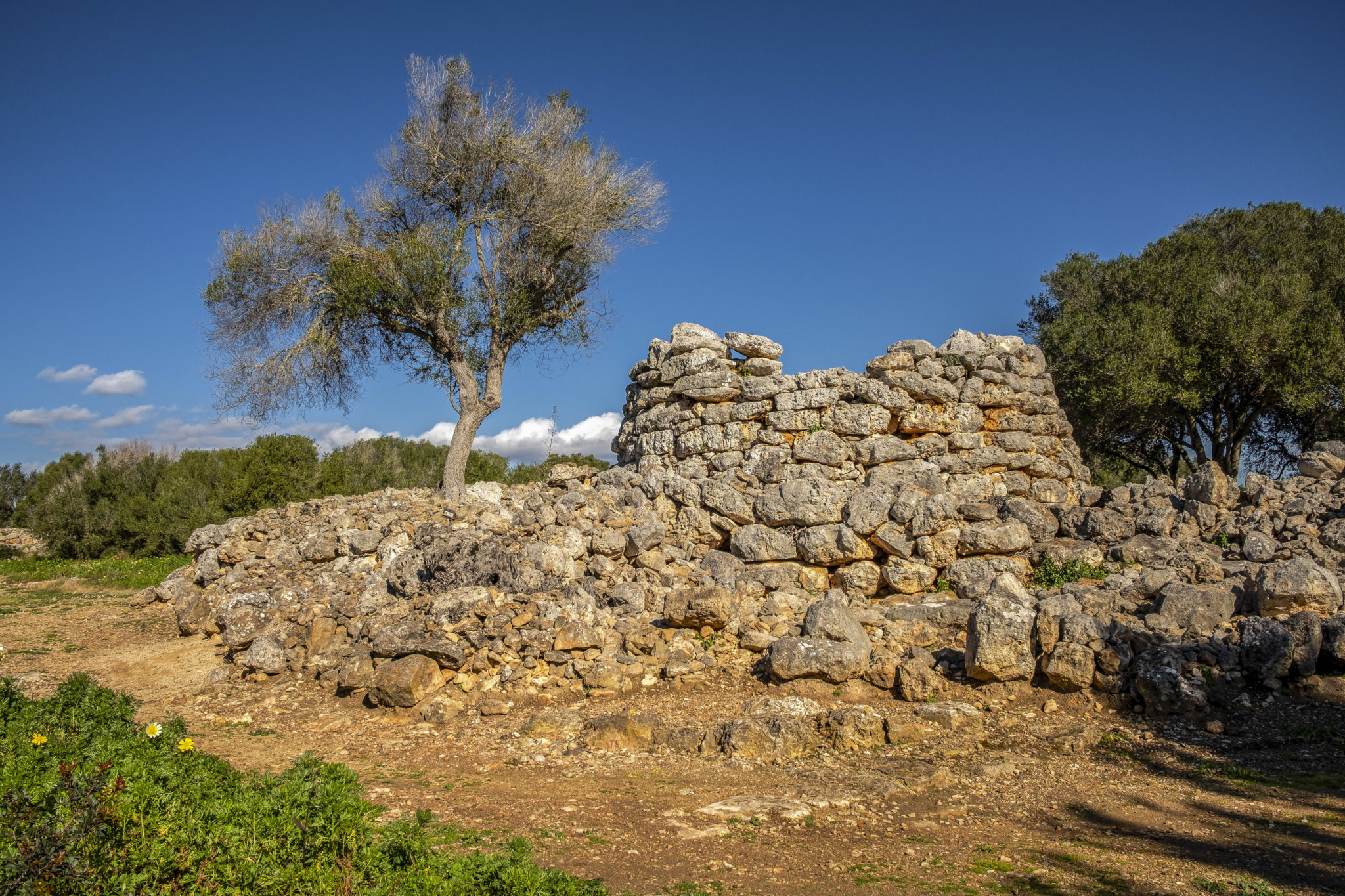 Talayotic route: the origin of Mallorca