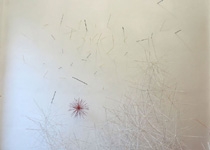 'Agros dispersi', de Felip Caldés