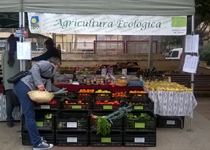 Ecological Market in Palma