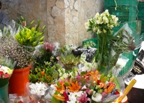 Weekly Market of Pere Garau