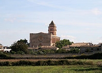 Weekly Market of Petra