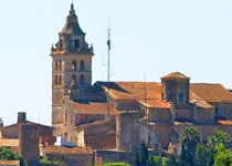 Weekly Market of Sencelles