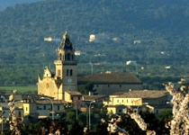 Weekly Market of Santa Maria del Camí