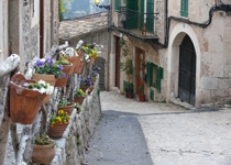 Weekly Market of Valldemossa