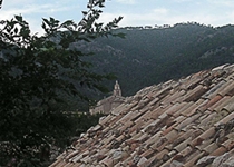 Weekly Market Caimari