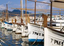 Weekly Market Cala Millor