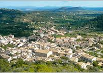 Weekly Market Mancor de la Vall