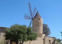 Open day in Son Fornés