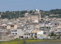 Weekly Market of Sant Joan