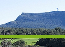 Mercado semanal de Algaida