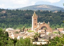 Weekly Market of Son Carrió