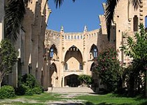 Weekly Market of  Son Servera 