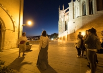 'Stories, mirages and truths of Palma'