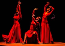 'Voces' by Sara Baras