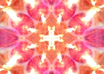  'Kaleidoscopic Sea' by Albert Lerycke