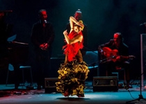 Nights of Flamenco