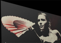 'Auténtico flamenco de Andalucía'