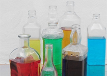 XIV Cicle de les Muses