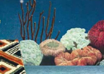 ‘Cinema a la fresca 2017'