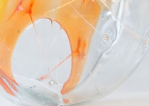 'El silenci del vidre' by Pere Ignasi