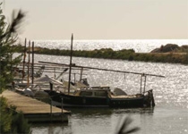 Festes Platja de Muro 2017