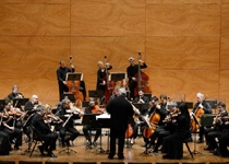 Les musiciens du Louvre