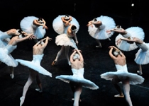 'Swan Lake'