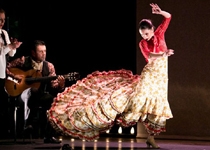 'El mirar de la maja'