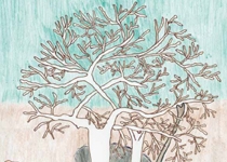 Festa d'Es Sequer 2017