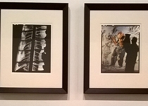  'Tres fotògrafs miren Barceló a la Catedral de Mallorca'