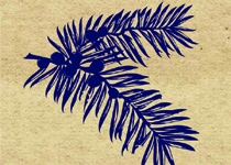 XXIV Fira de la Serra de Tramuntana