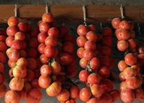 Fira de Porreres 2018