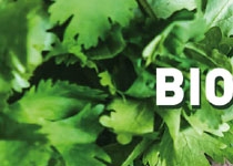 Jornada de Bioconstrucció i Salut