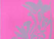 'Arcadia', de Evi Vingerling