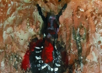 Sant Antoni Son Servera 2019