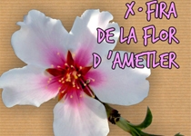 X Fira de la Flor d'Ametler