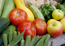 Mercado semanal de Es Coll d’en Rabassa