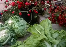 Mercado semanal de Manacor