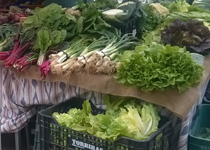 Mercado semanal de Mancor de la Vall