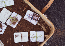 'Exercicis de memòria' 