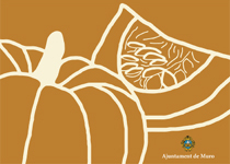 XVI Fira de la Carabassa