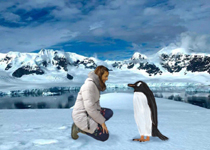 'La pingüina viatgera'