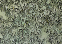 '... De sal i cendra', de Guillem Nadal 