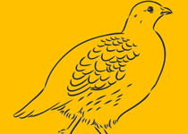 XLIII Fira de sa Perdiu