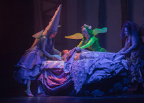 'La bella dorment, el musical' 