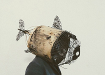 II Cicle de Circ de Palma: 'Peix'